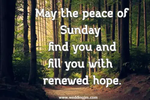  May the peace of Sunday find you and fill you with renewed hope.