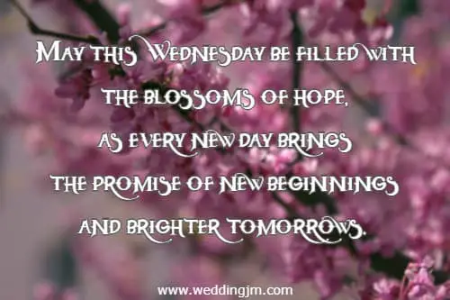 May this Wednesday be filled with the blossoms of hope, as every new day brings the promise of new beginnings and brighter tomorrows.
