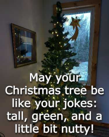 May your Christmas tree be like your jokes: tall, green, and a little bit nutty!