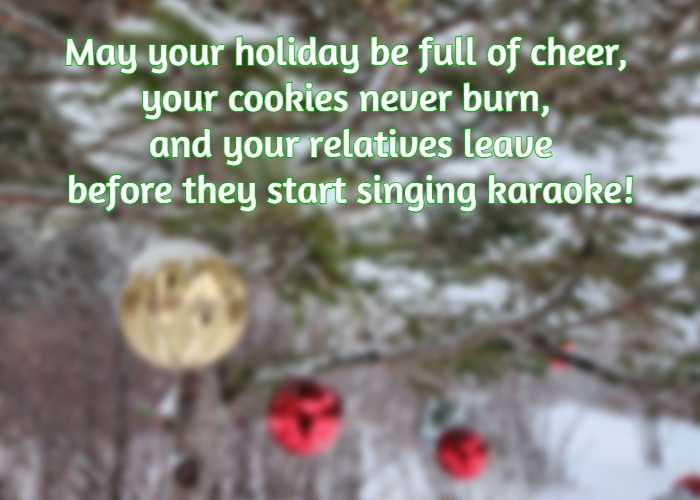 May your holiday be full of cheer, your cookies never burn, and your relatives leave before they start singing karaoke!