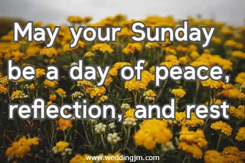 May your Sunday be a day of peace,  reflection, and rest.