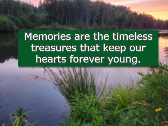 Memories are the timeless treasures that keep our hearts forever young.