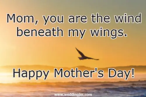 Mom, you are the wind beneath my wings. Happy Mother's Day!
