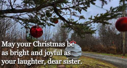 May your Christmas be as bright and joyful as your laughter, dear sister.
