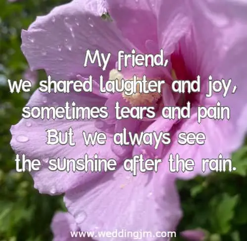 my friend, we shared laughter and joy, sometimes tears and pain But we always see the sunshine after the rain.