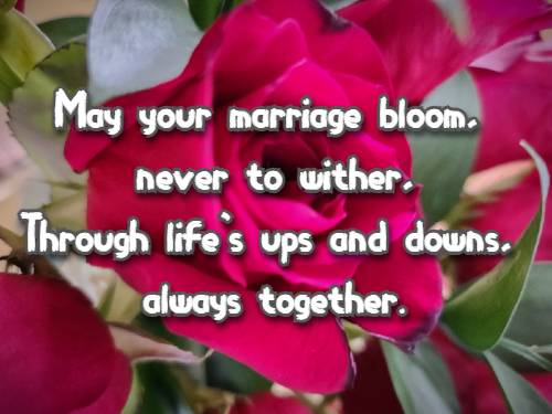 May your marriage bloom, never to wither, Through life's ups and downs, always together.