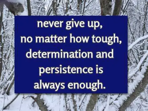 never give up, no matter how tough, determination and persistence is always enough.