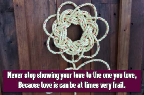 Never stop showing your love to the one you love, Because love is can be at times very frail.
