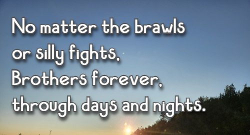 No matter the brawls or silly fights, Brothers forever, through days and nights.