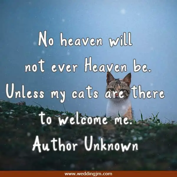 No heaven will not ever Heaven be. Unless my cats are there to welcome me.