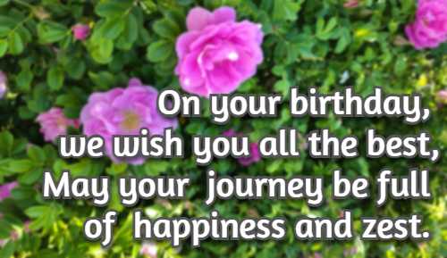 On your birthday, we wish you all the best, May your journey be full of happiness and zest.