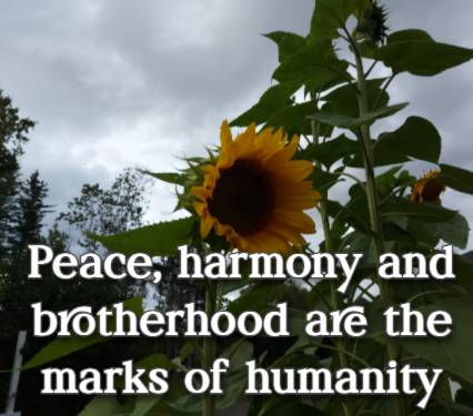 Peace, harmony and brotherhood are the marks of humanity.