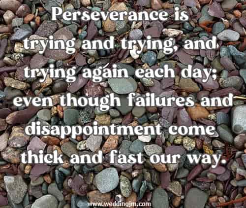 Perseverance is trying and trying, and trying again each day; even though failures and disappointment come thick and fast our way.