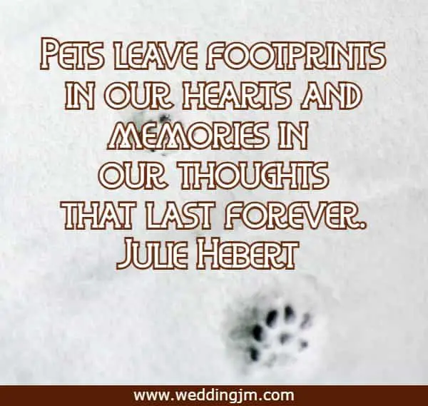 Pets leave footprints in our hearts and memories in our thoughts that last forever.