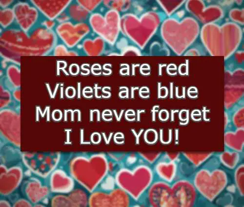 Roses are red Violets are blue Mom never forget I Love YOU!