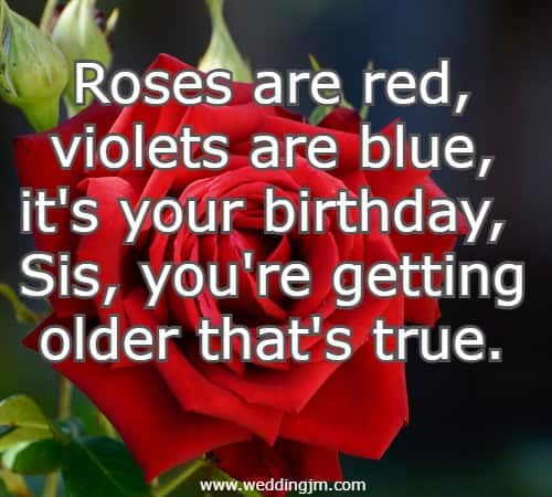 Roses are red, violets are blue, it's your birthday, Sis, you're getting older that's true.