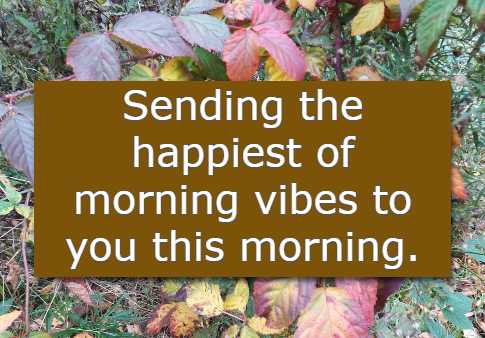 Sending the happiest of morning vibes to you this morning.