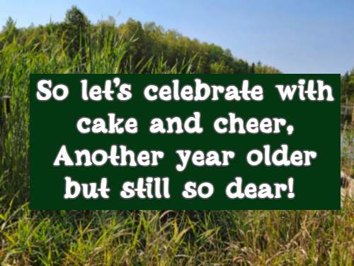 So let's celebrate with cake and cheer, Another year older but still so dear! 