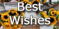 Best Wishes to You