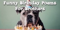 Funny Birthday Poems For Brothers