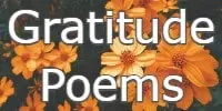 Gratitude Poems