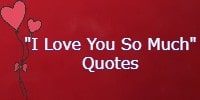 I Love You So Much Quotes