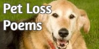 Pet Loss Poems