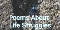 Poems About Life Struggles