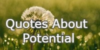 Quotes About Potential
