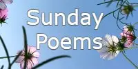 Sunday Poems