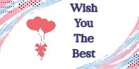 Wish You The Best 
