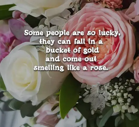 	Some people are so lucky, they can fall in a bucket of gold and come out smelling like a rose.