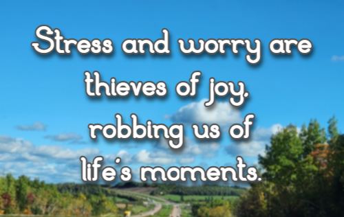 Stress and worry are thieves of joy, robbing us of life's moments.