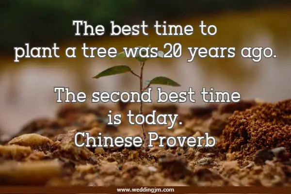 The best time to plant a tree was 20 years ago. The second best time is today.