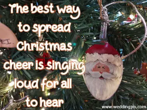 The best way to spread Christmas cheer is singing loud for all to hear.