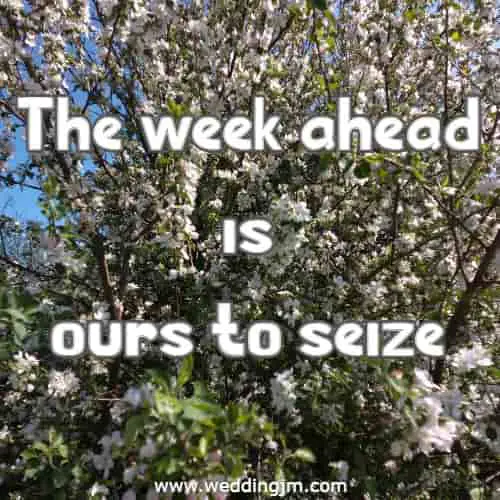 The week ahead is ours to seize