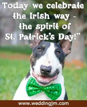 Today we celebrate the Irish way - the spirit of St. Patrick's Day!