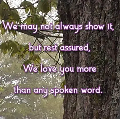 We may not always show it, but rest assured, We love you more than any spoken word.