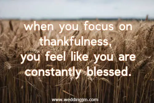 when you focus on thankfulness, you feel like you are constantly blessed