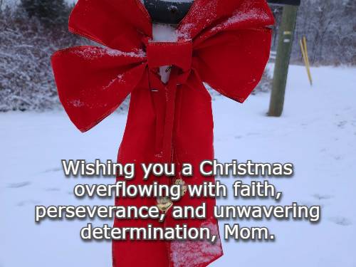 Wishing you a Christmas overflowing with faith, perseverance, and unwavering determination, Mom.