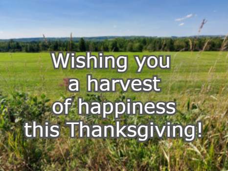 Wishing you a harvest of happiness this Thanksgiving!
