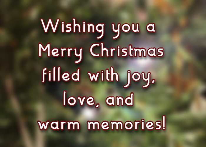 Wishing you a Merry Christmas filled with joy, love, and warm memories!