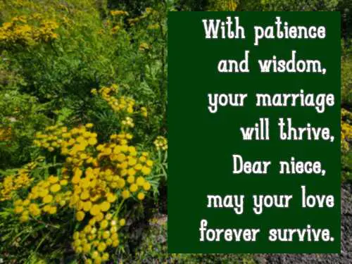 With patience and wisdom, your marriage will thrive, Dear niece, may your love forever survive.