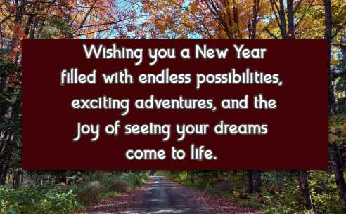 Wishing you a New Year filled with endless possibilities, exciting adventures, and the joy of seeing your dreams come to life.