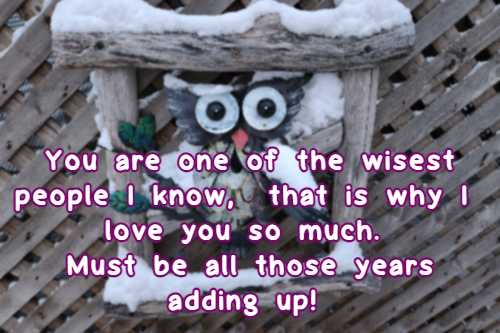 You are one of the wisest people I know, that is why I love you so much. Must be all those years adding up!