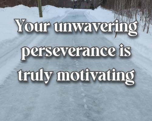 Your unwavering perseverance is truly motivating